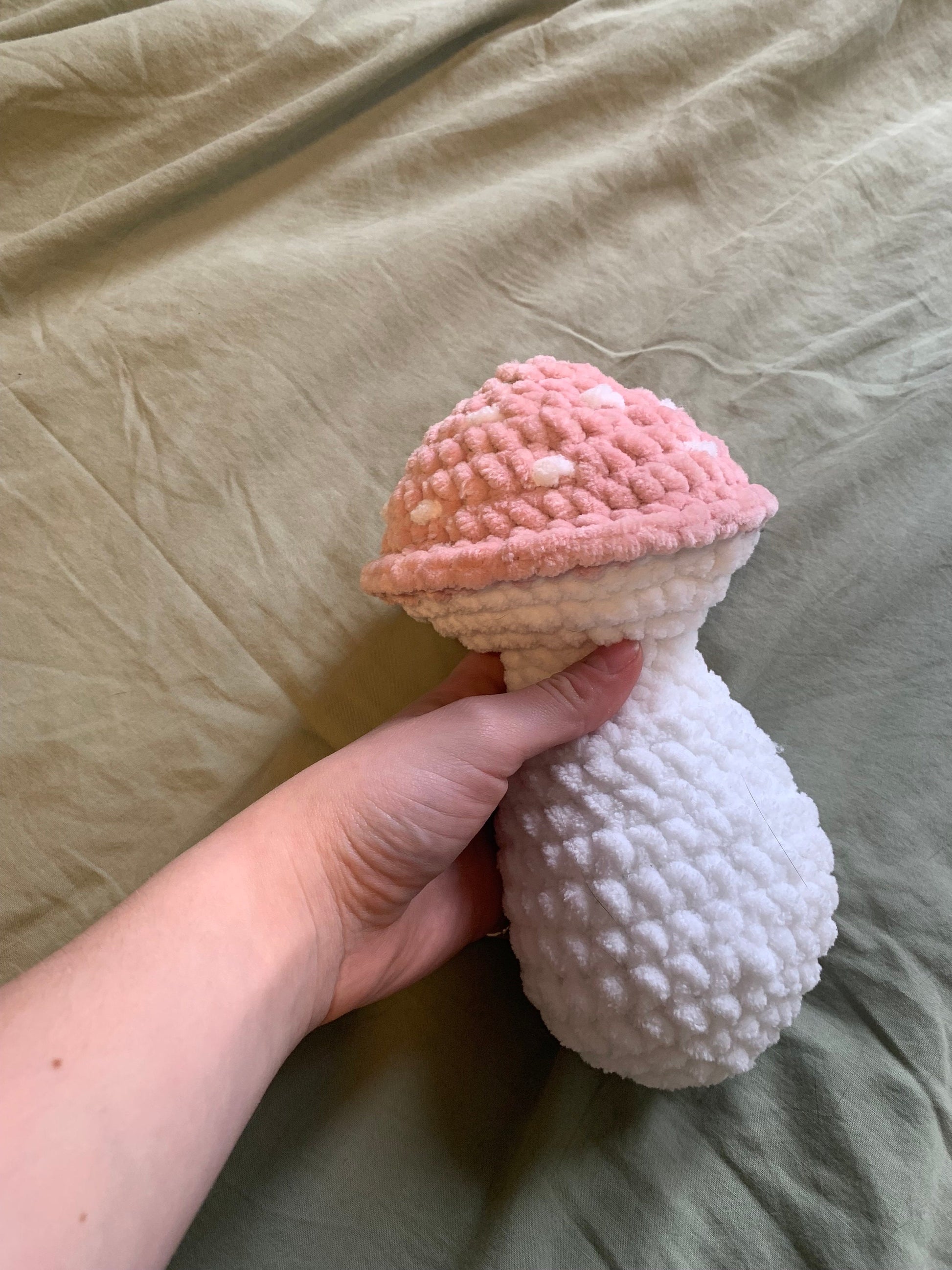 Cozy Crochet Mushroom Plushies