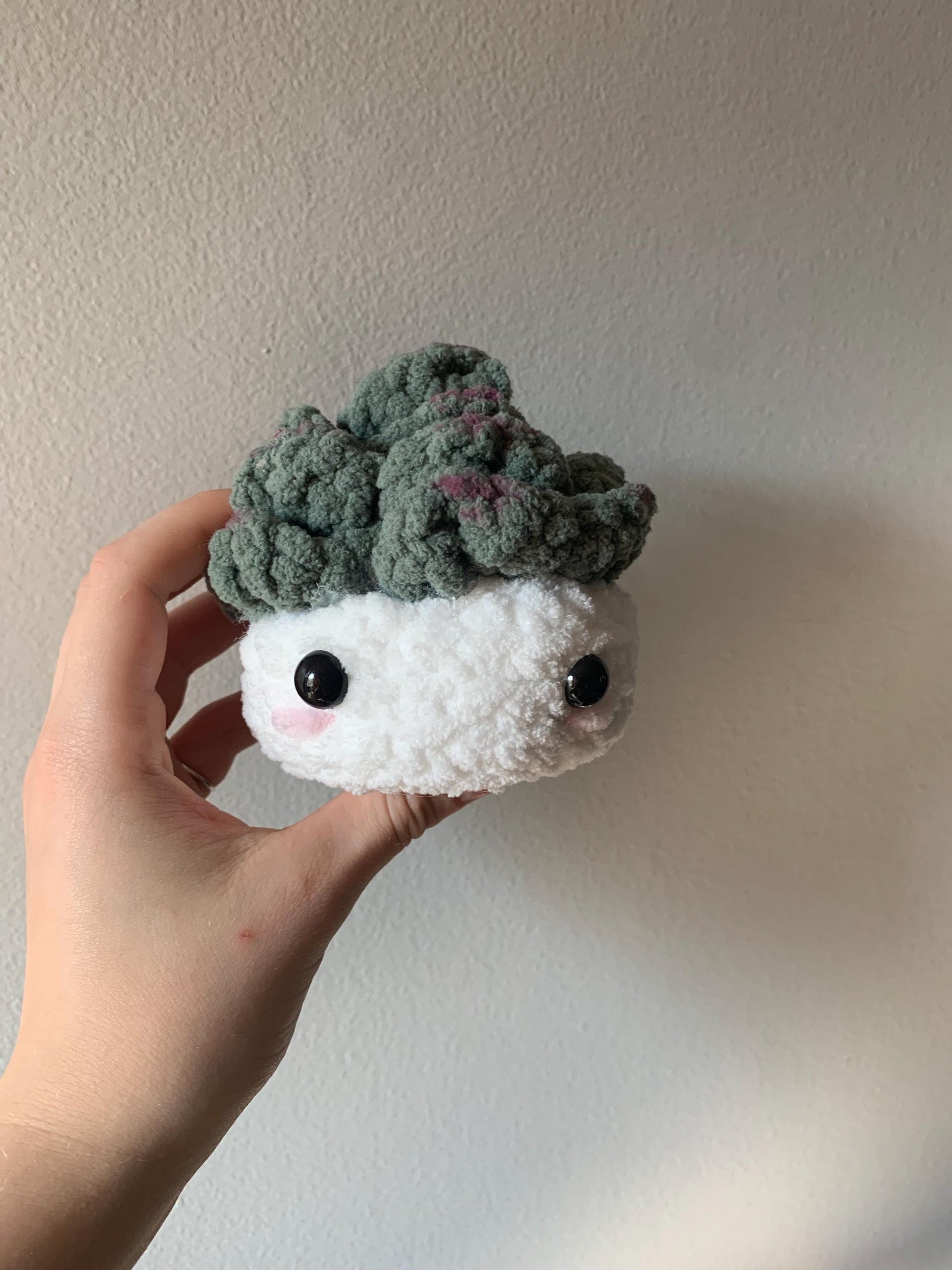 Crochet Succulent Plushie | Succulent Desk Buddy