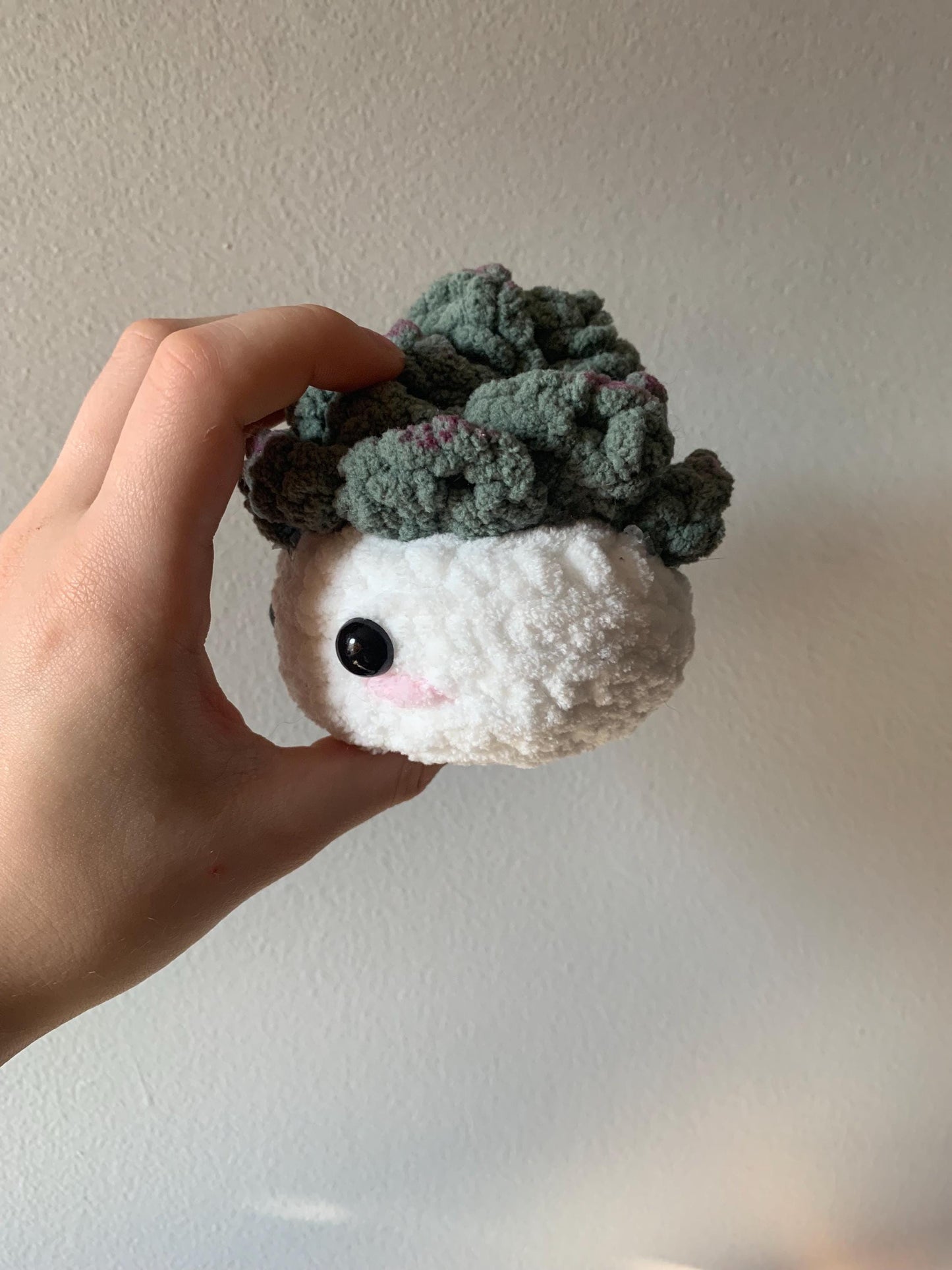 Crochet Succulent Plushie | Succulent Desk Buddy