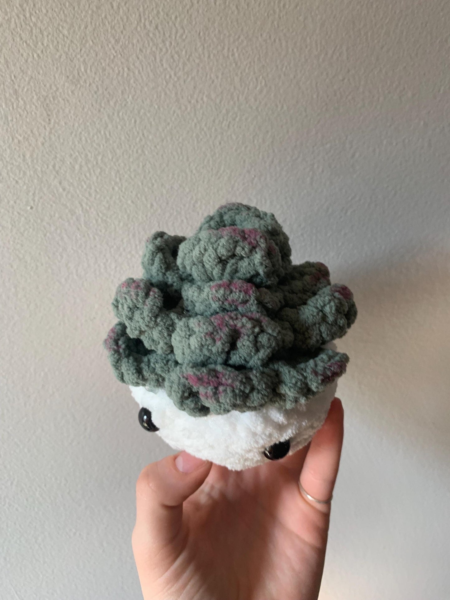 Crochet Succulent Plushie | Succulent Desk Buddy