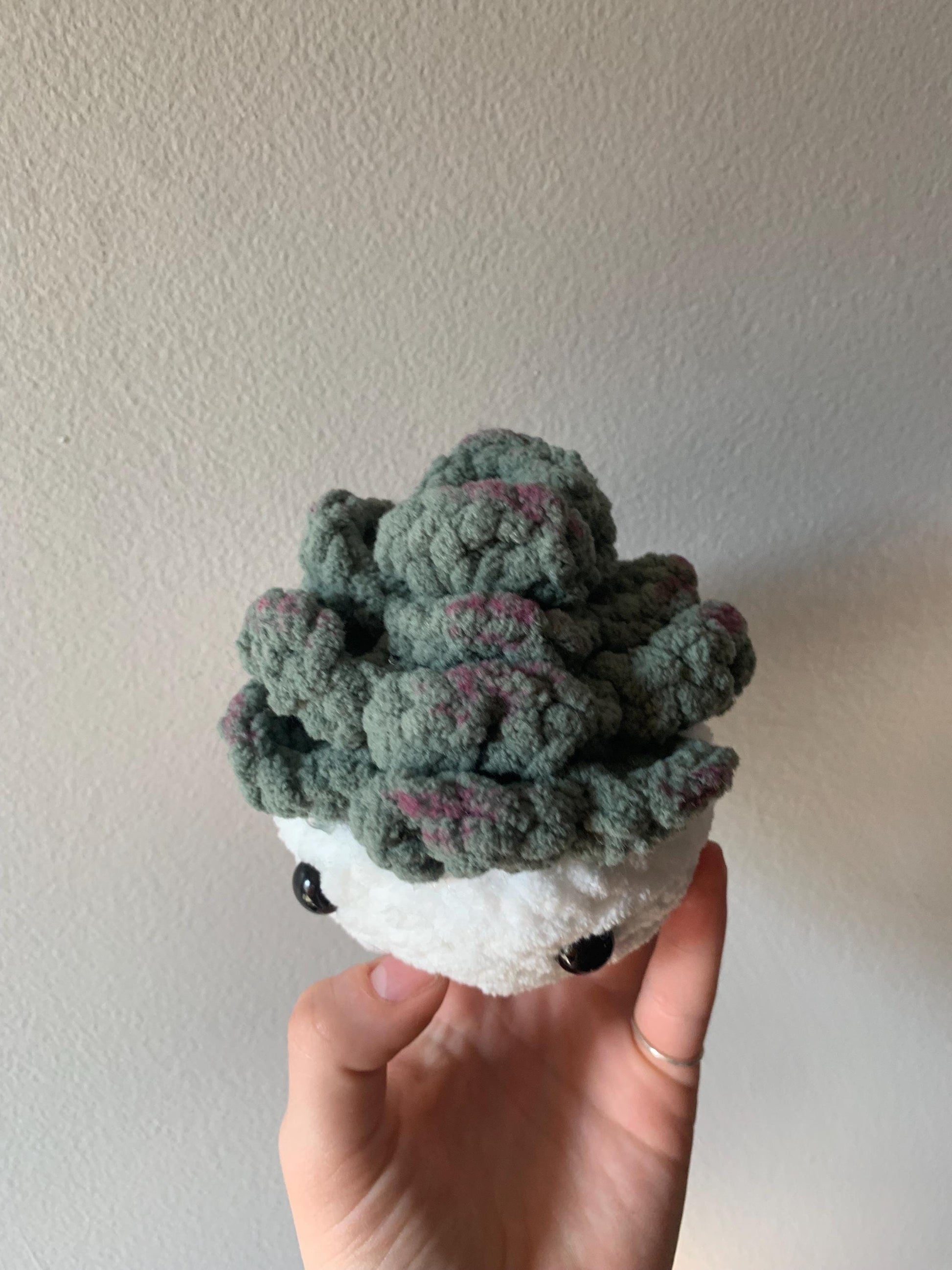 Crochet Succulent Plushie | Succulent Desk Buddy