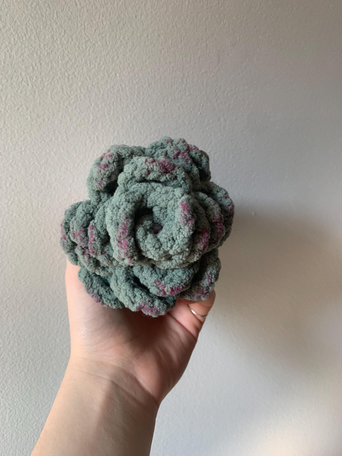 Crochet Succulent Plushie | Succulent Desk Buddy