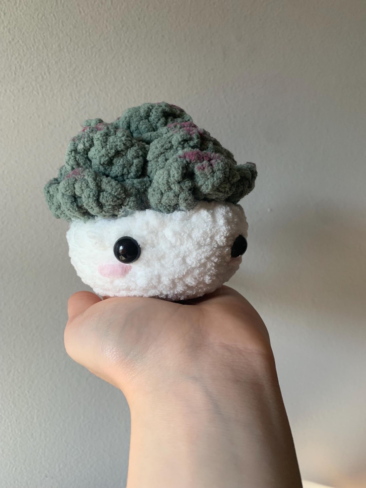 Crochet Succulent Plushie | Succulent Desk Buddy