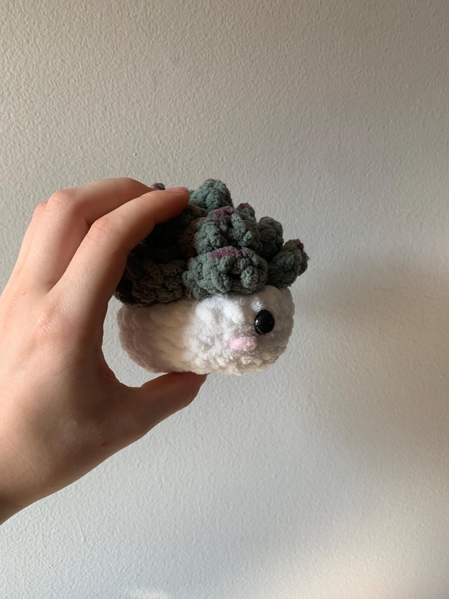 Crochet Succulent Plushie | Succulent Desk Buddy