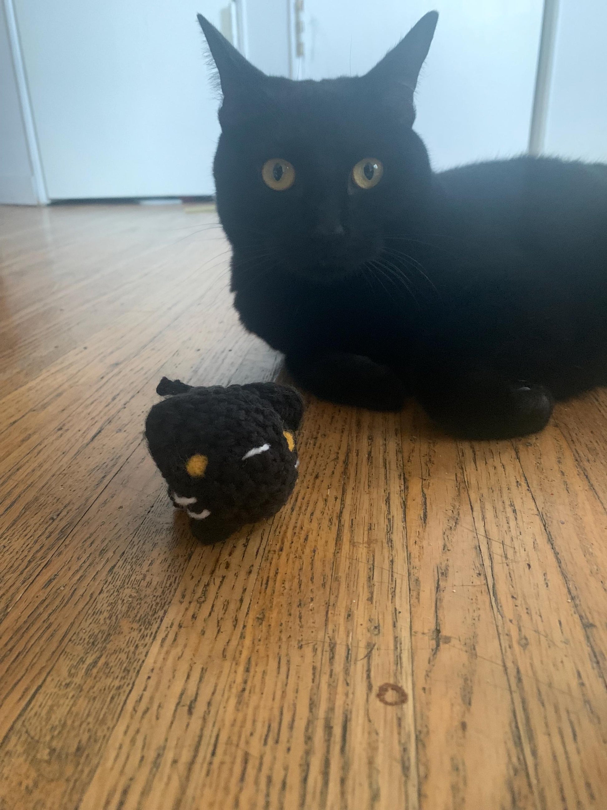 Customizable Crochet Mini Pet Cats | Made to Order