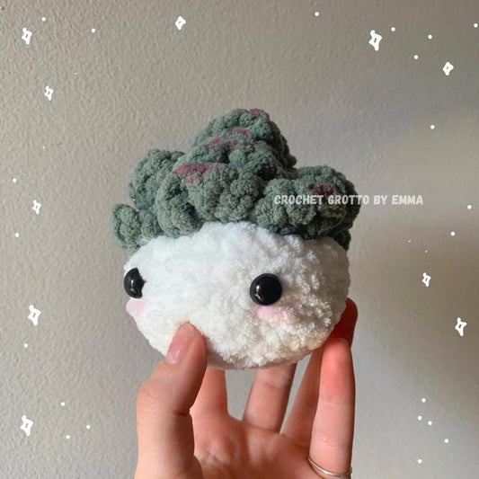A fluffy crochet succulent plant with a cute face.