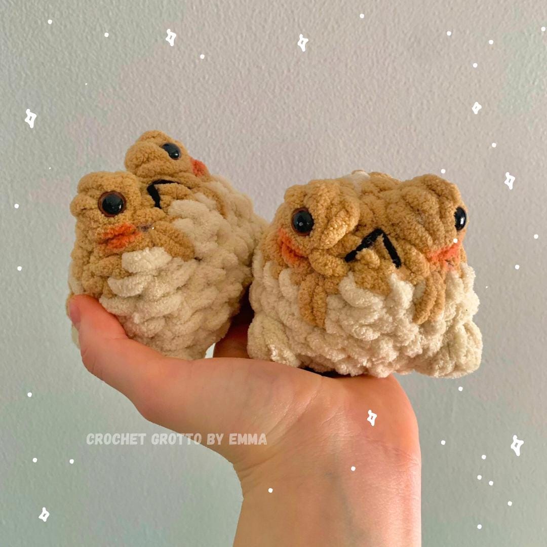 Desert Rain Frog Crochet Plushie