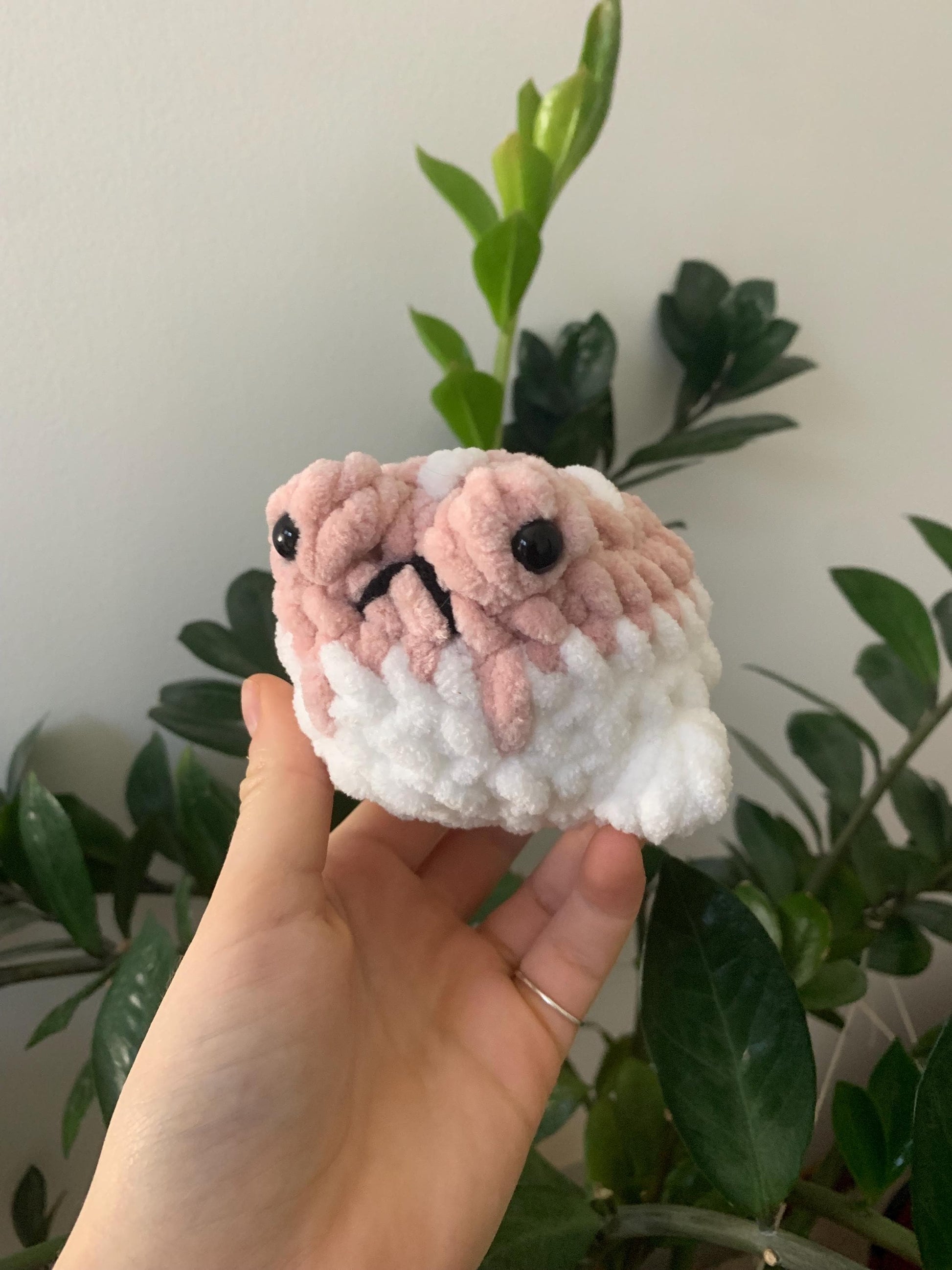 Desert Rain Frog Crochet Plushie