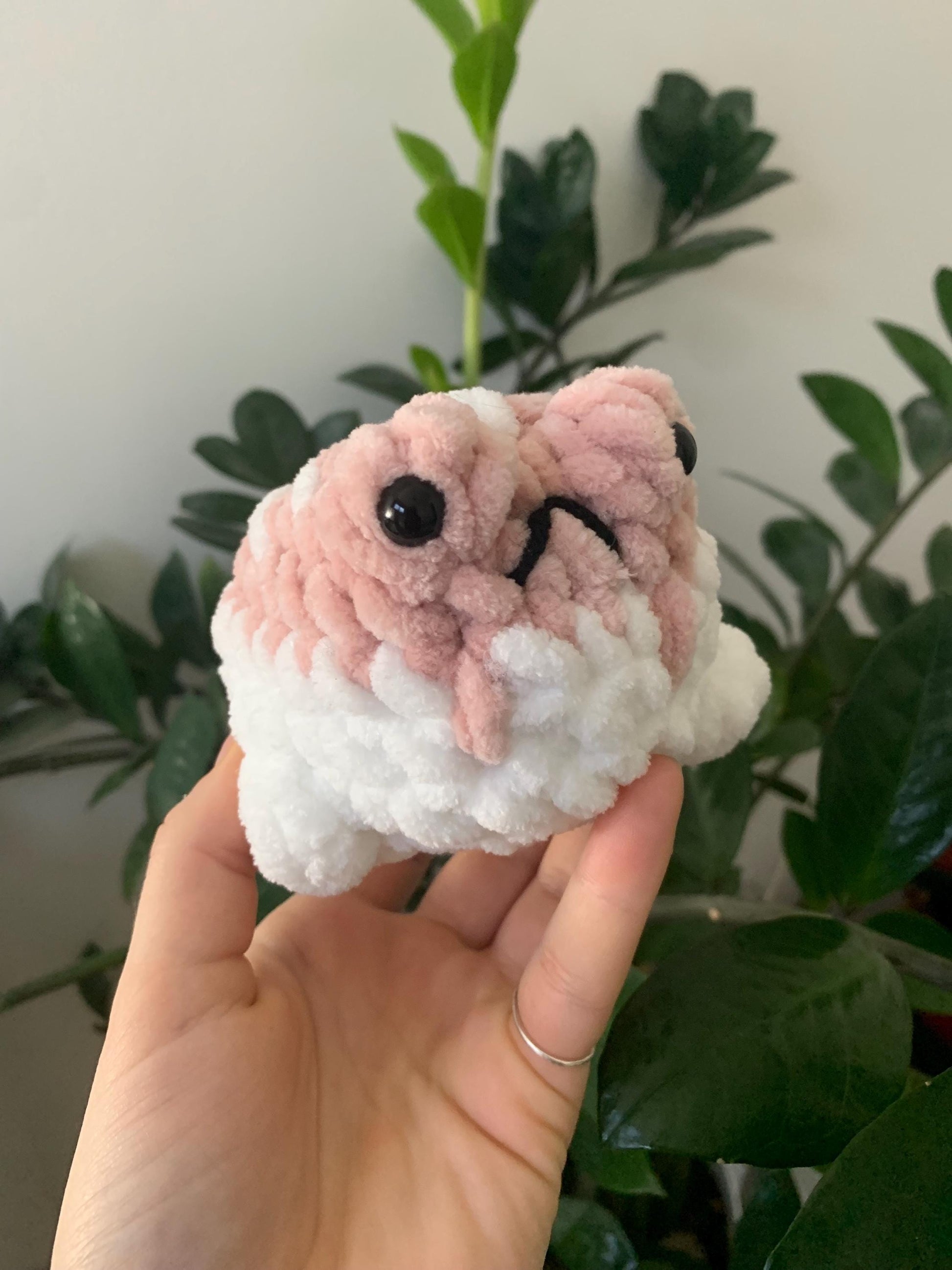 Desert Rain Frog Crochet Plushie