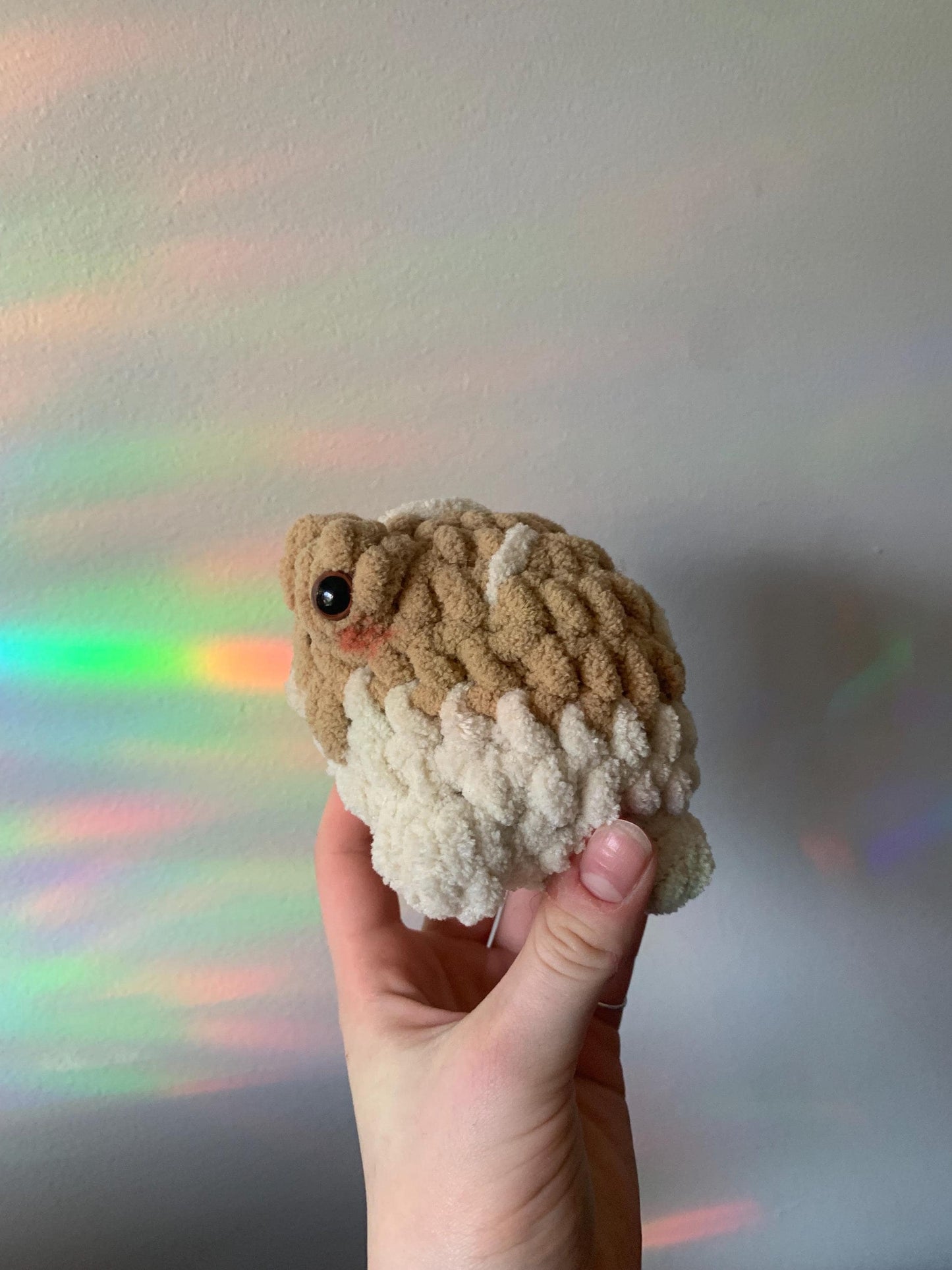 Desert Rain Frog Crochet Plushie