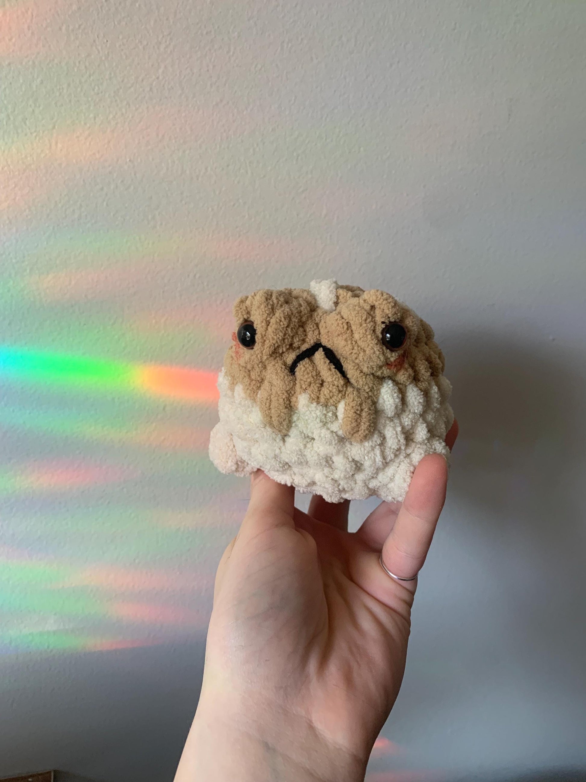Desert Rain Frog Crochet Plushie