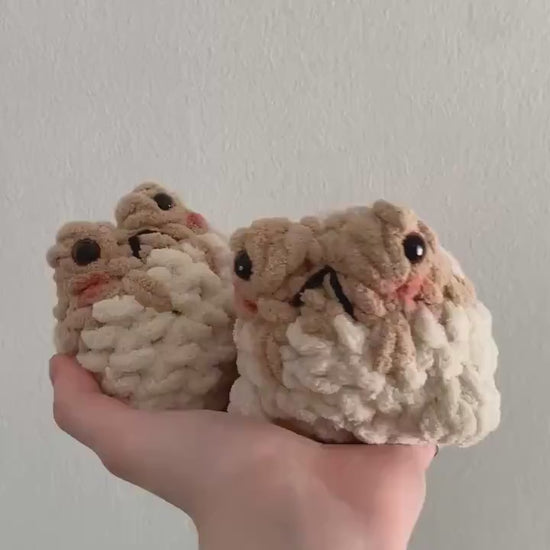 Desert Rain Frog Crochet Plushie