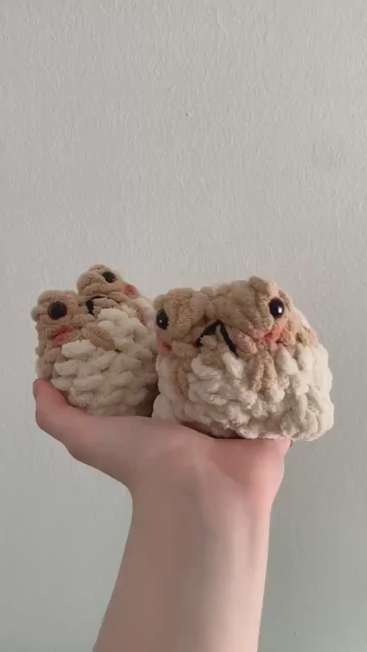 Desert Rain Frog Crochet Plushie