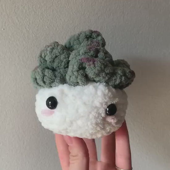 Crochet Succulent Plushie | Succulent Desk Buddy