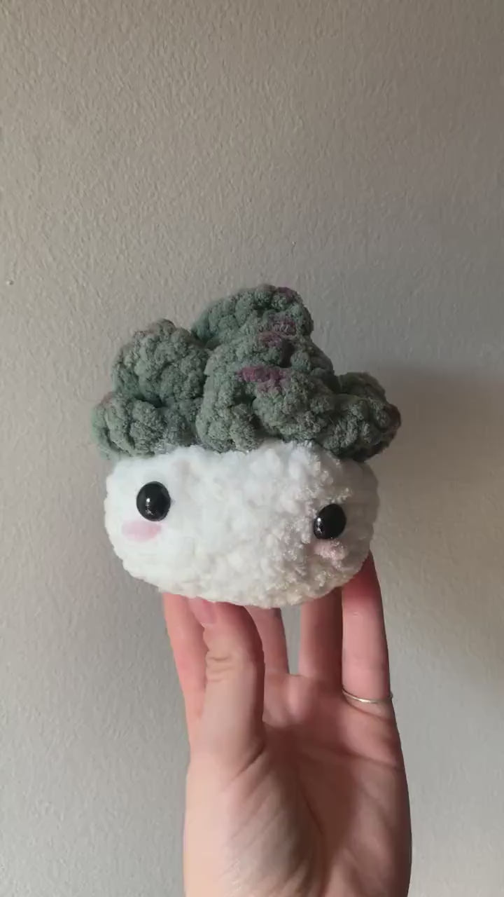 Crochet Succulent Plushie | Succulent Desk Buddy